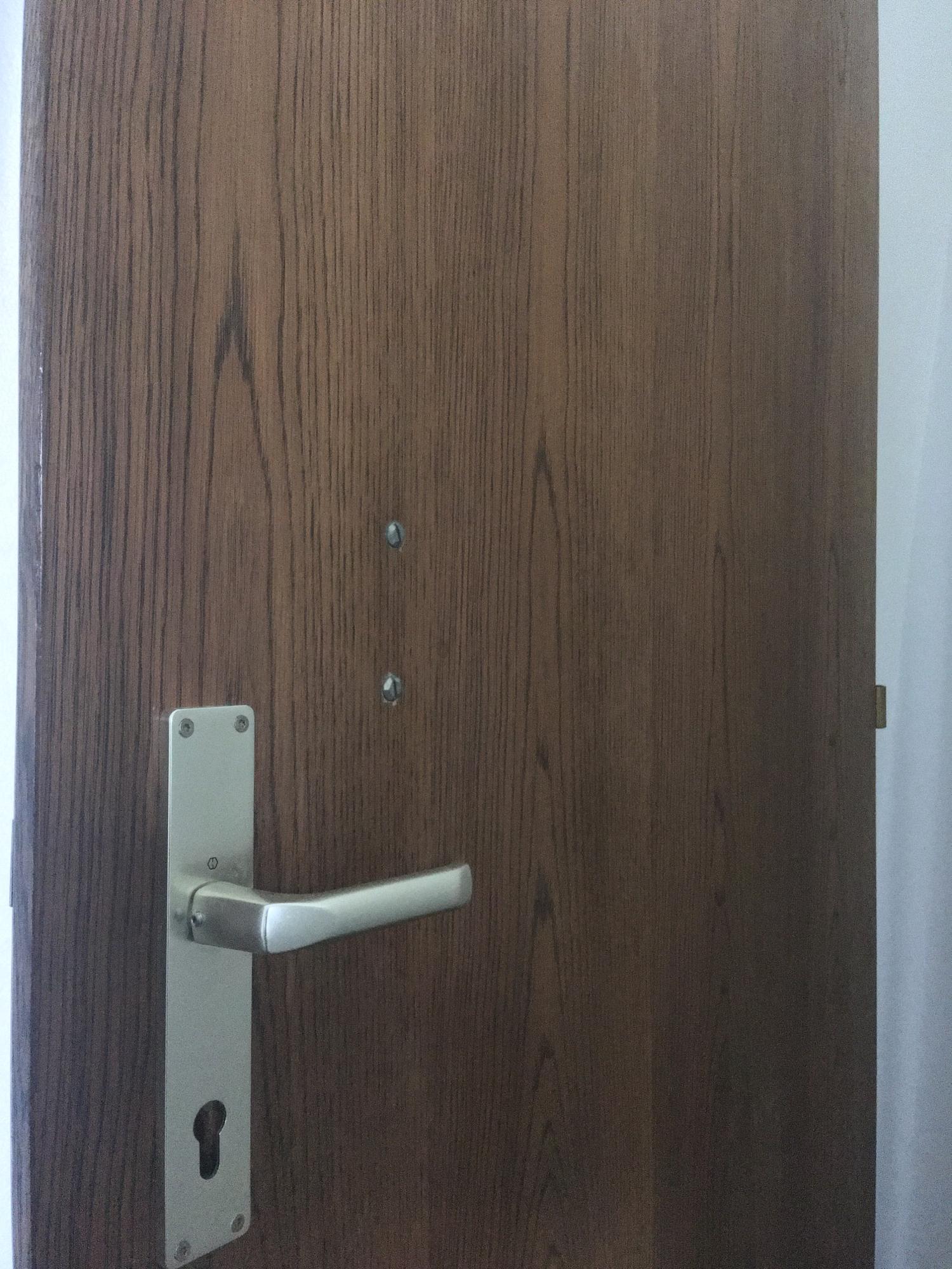 Decorative Door with Hammered Copper Cladding 2