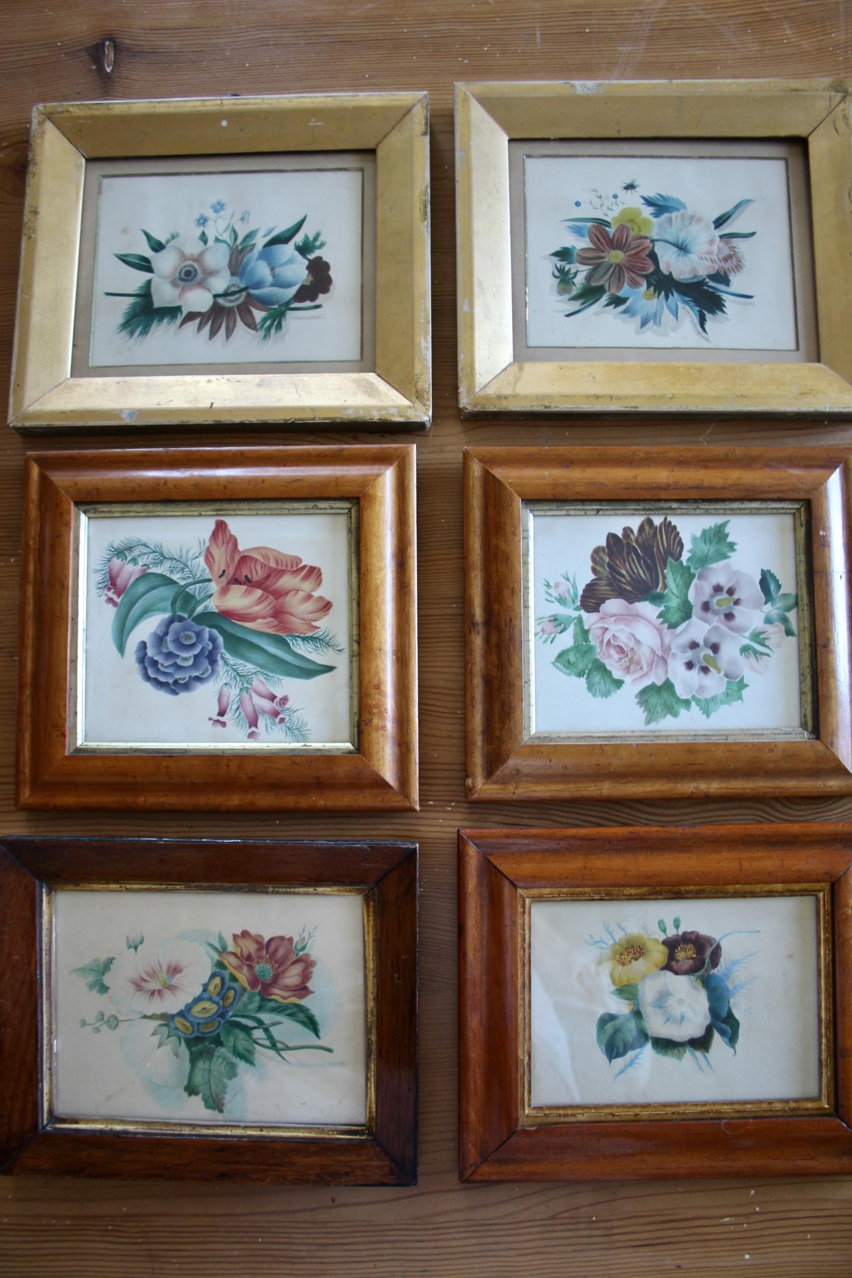 dekorative Zeichnung von Blumen Aquarell (19. Jahrhundert) im Angebot