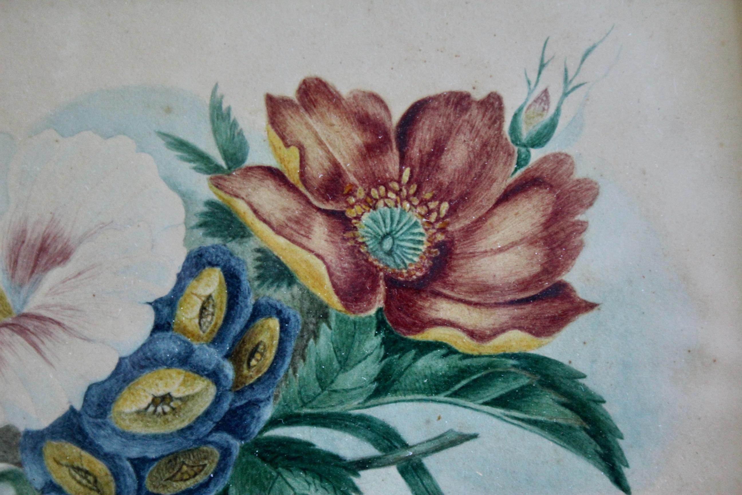 dekorative Zeichnung von Blumen Aquarell (19. Jahrhundert) im Angebot
