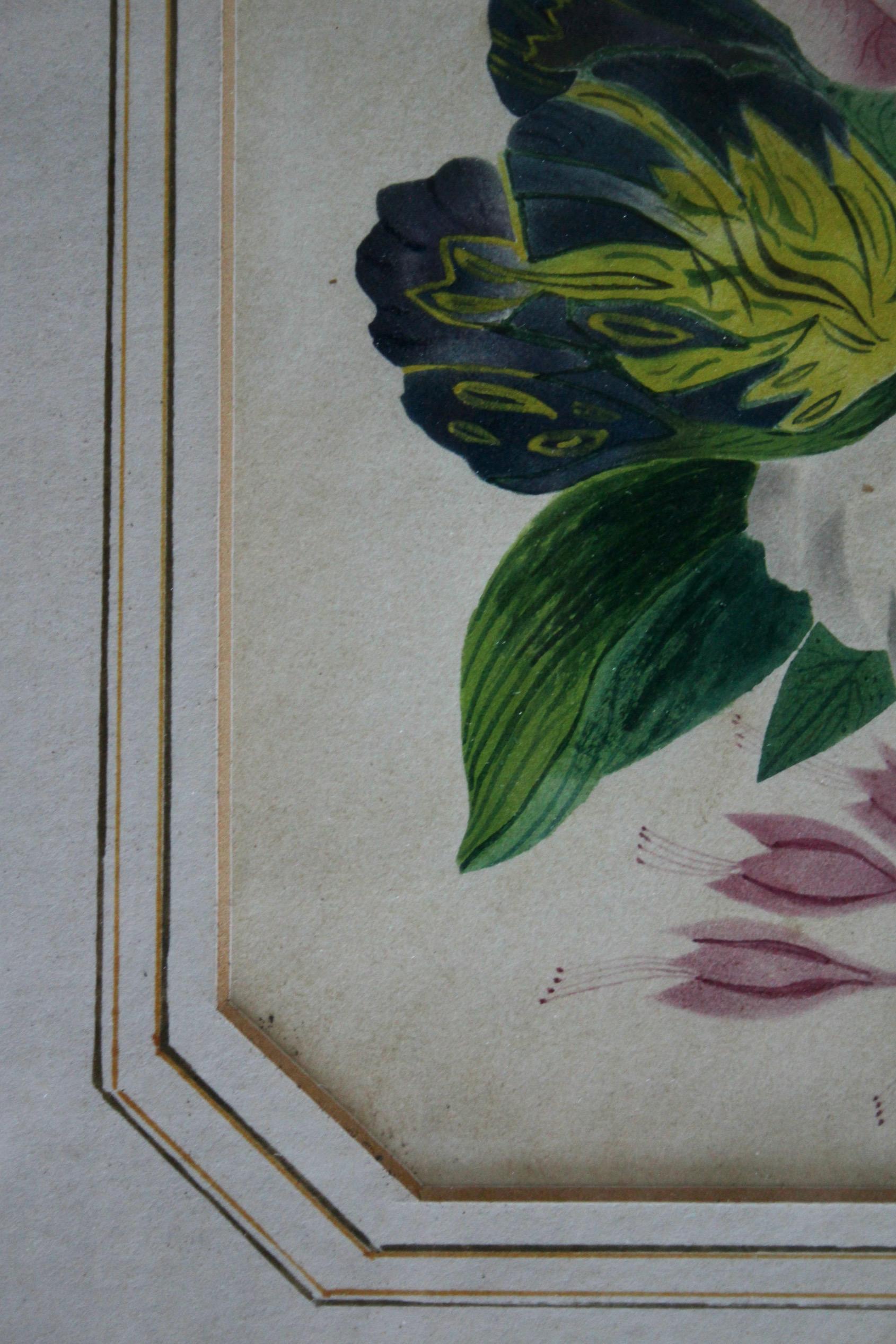 dekorative Zeichnung von Blumen Aquarell (19. Jahrhundert) im Angebot