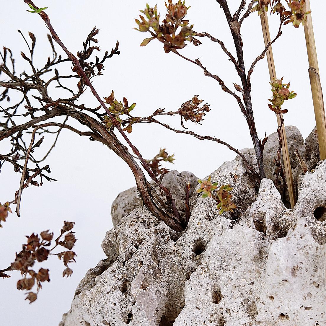 Pietra decorativa erosa - Soliflores - fiori secchi In condizioni buone in vendita a Linkebeek, BE