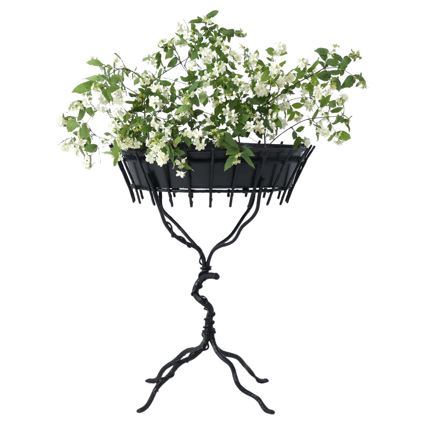 Jardinière decorativa in finto bois di Jean-Michel Frank in vendita