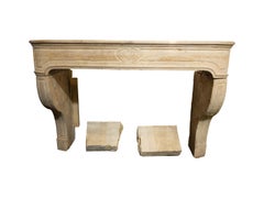 Decorative Fireplace Mantel in the Style of Louis XV