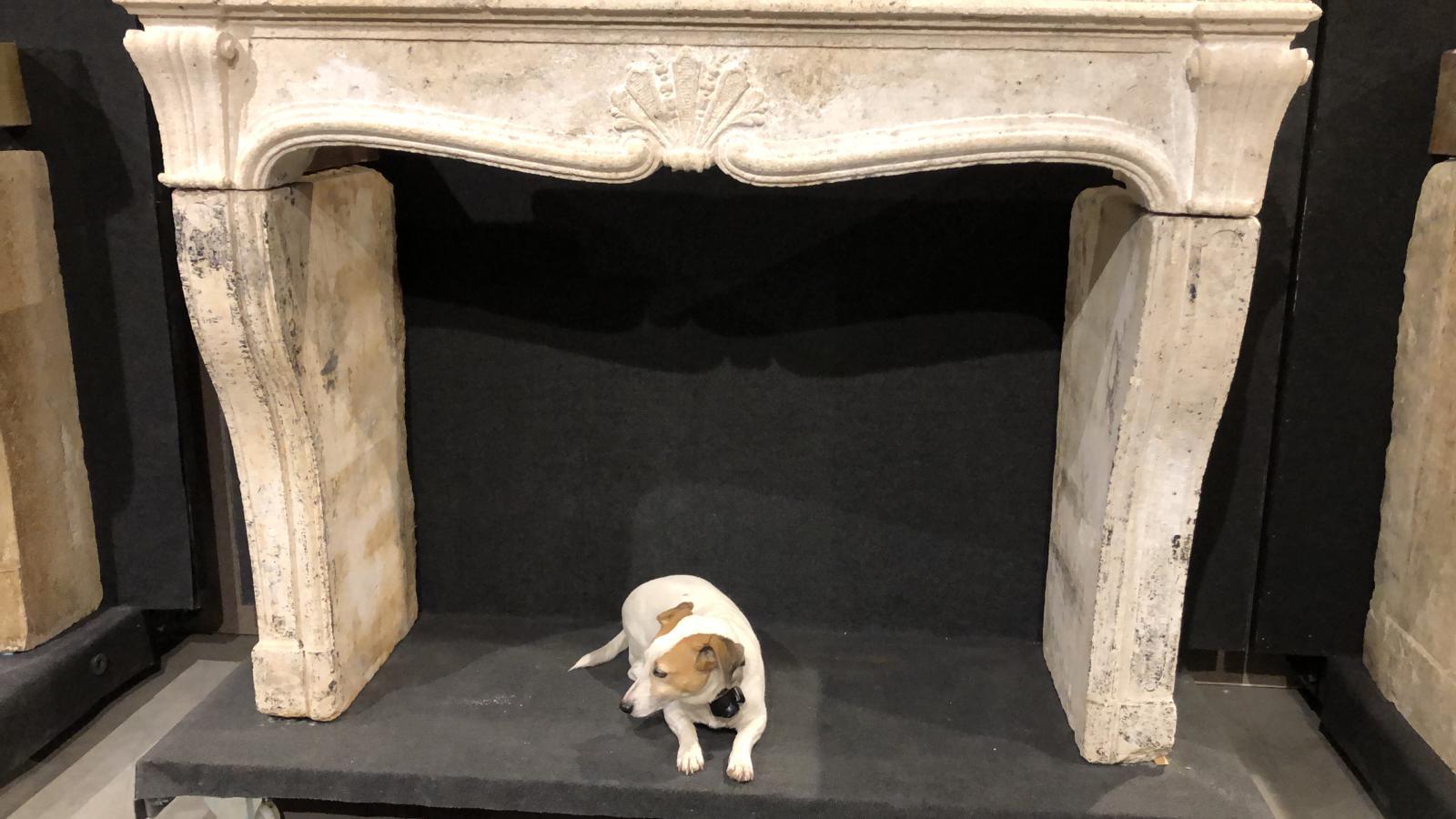 European Decorative Fireplace Mantel in the Style of Louis XV For Sale