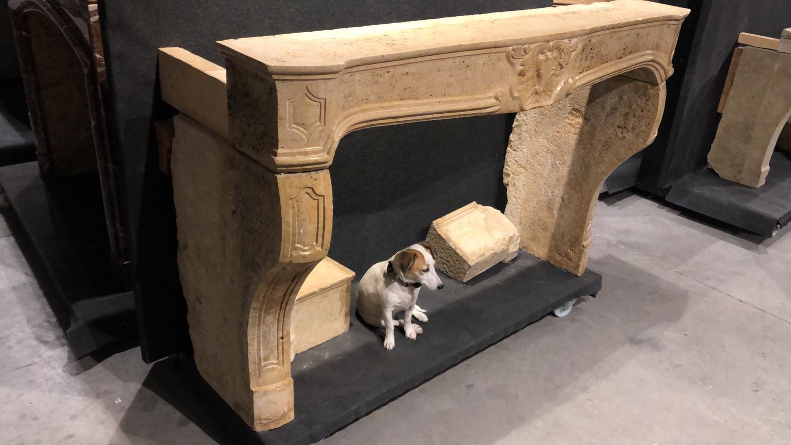 Stone Decorative Fireplace Mantel in the Style of Louis XV For Sale