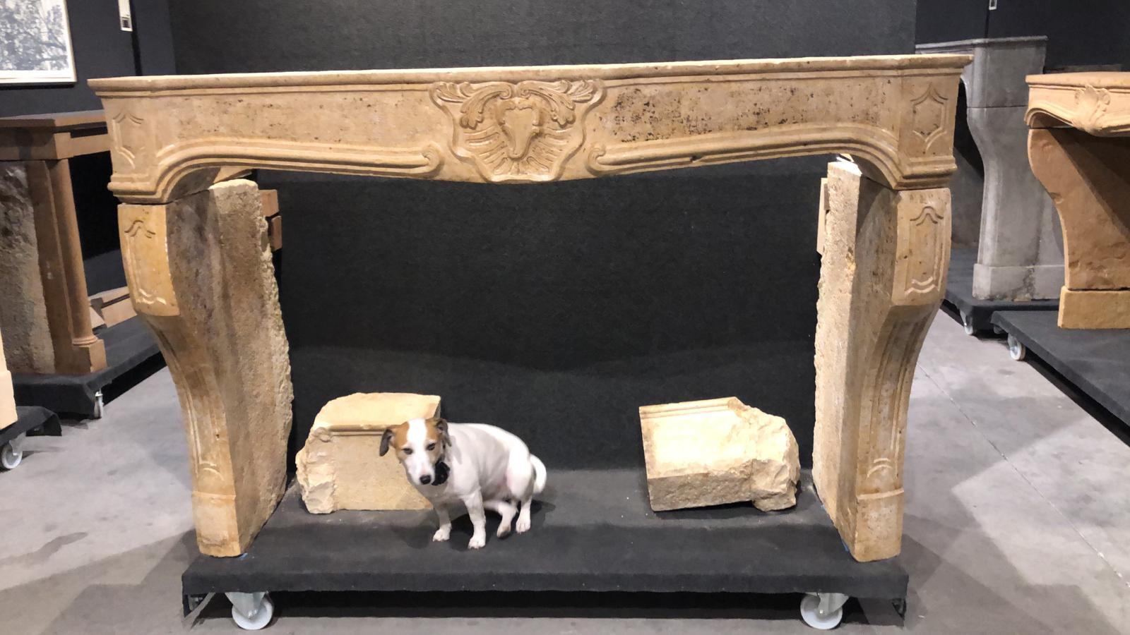 Decorative Fireplace Mantel in the Style of Louis XV For Sale 2
