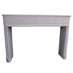 Decorative Fireplace Mantel in the Style of Louis XVI