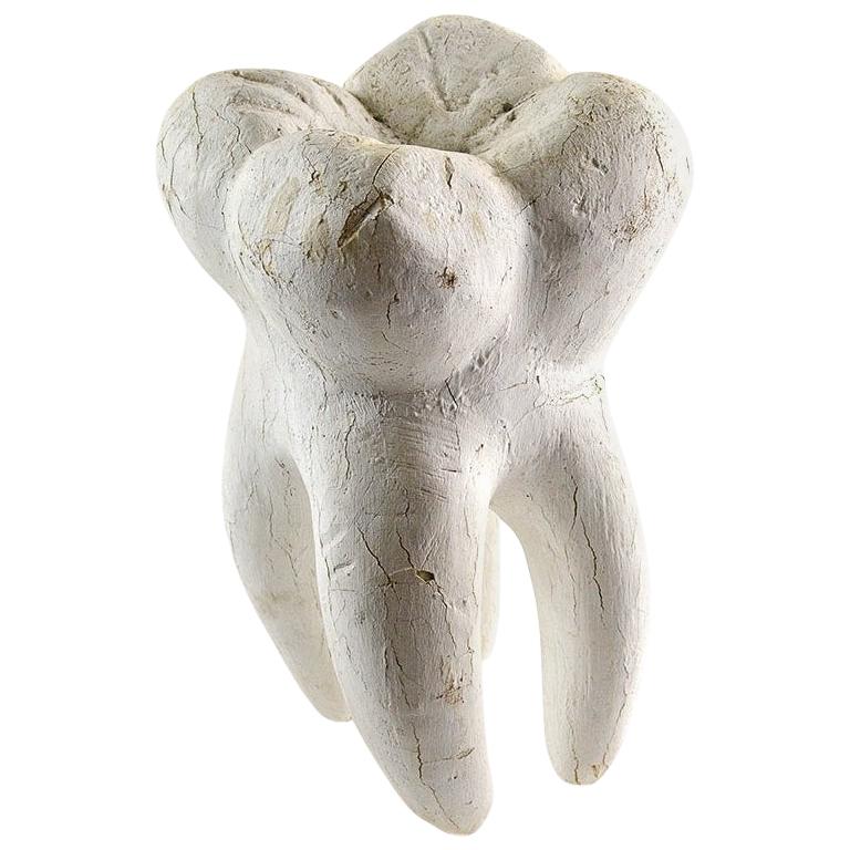 Sculpture de dents en mousse décorative