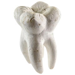 Decorative Foam Tooth Sculpture