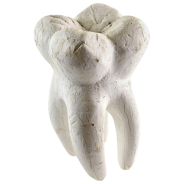 Decorative Foam Tooth Sculpture For Sale at 1stDibs
