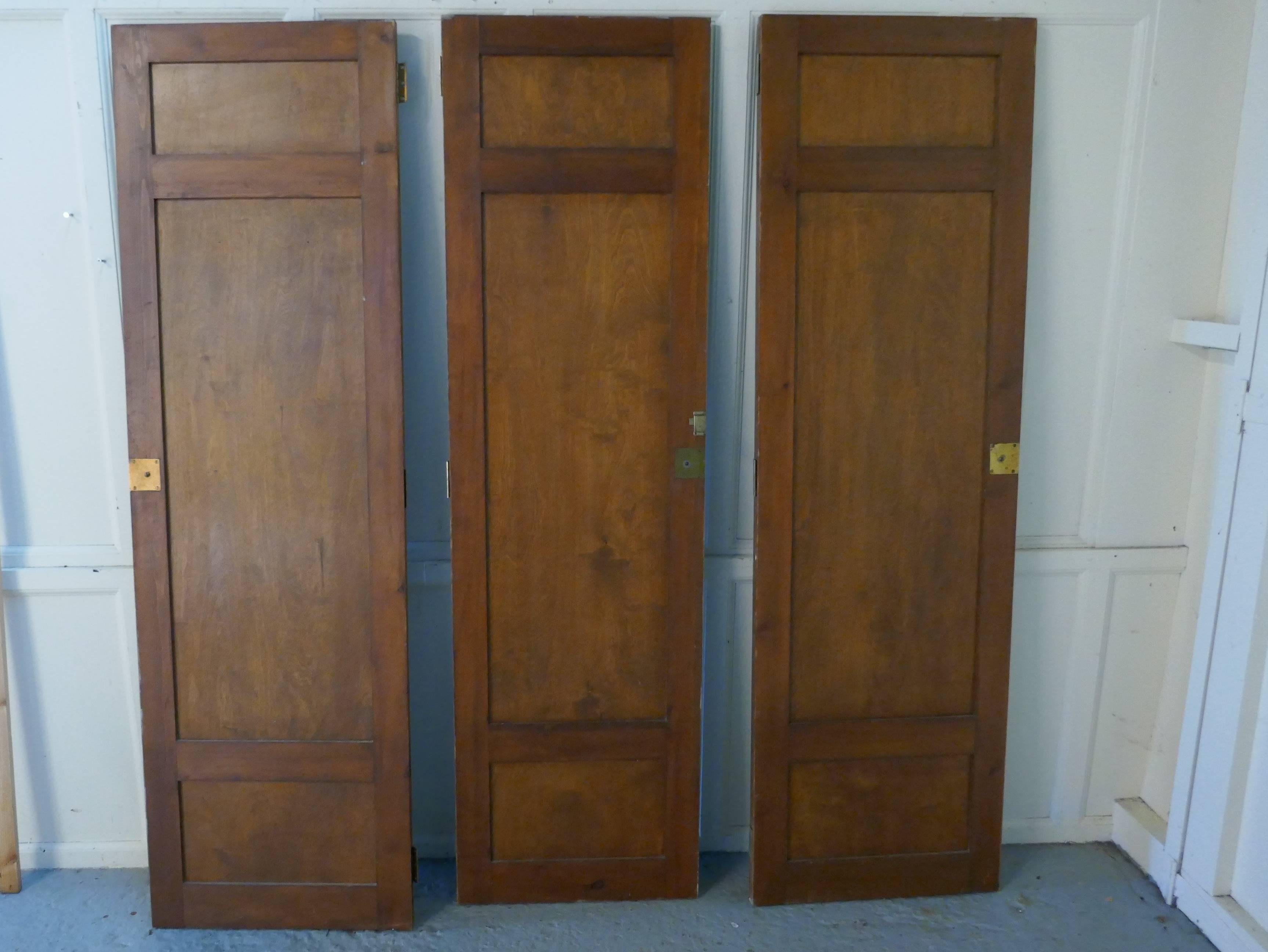 Decorative French Painted Doors 5