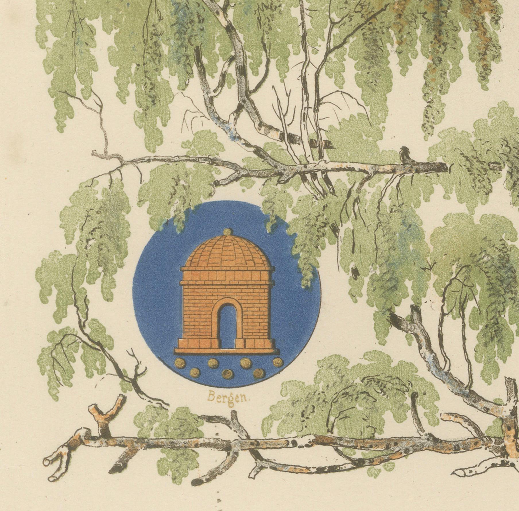 Decorative Frontispiece – Norwegian Regional Dress by Chr. Tønsberg In Good Condition For Sale In Langweer, NL