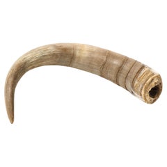 Dekoratives Ziegen Horn