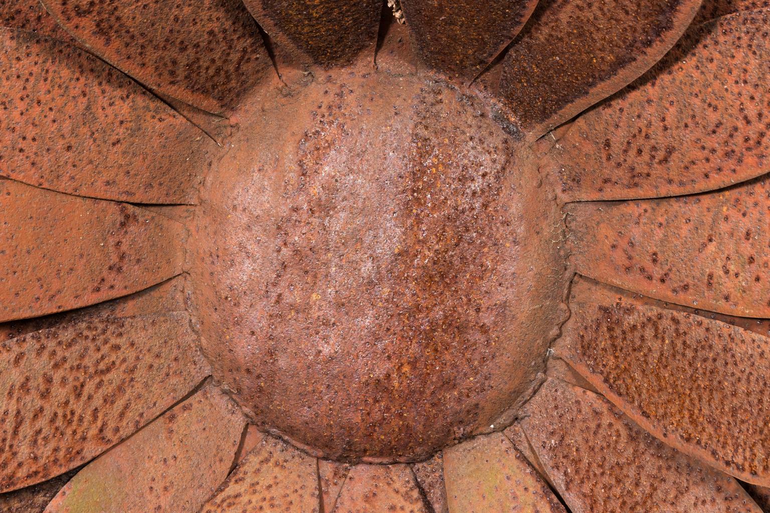 Decorative Iron Sunflower 6