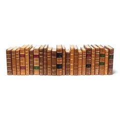 Livres de bibliothèque décoratifs, en cuir beige et marbré, lot de 24