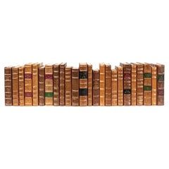 Livres de bibliothèque décoratifs, en cuir beige et marbré, lot de 24
