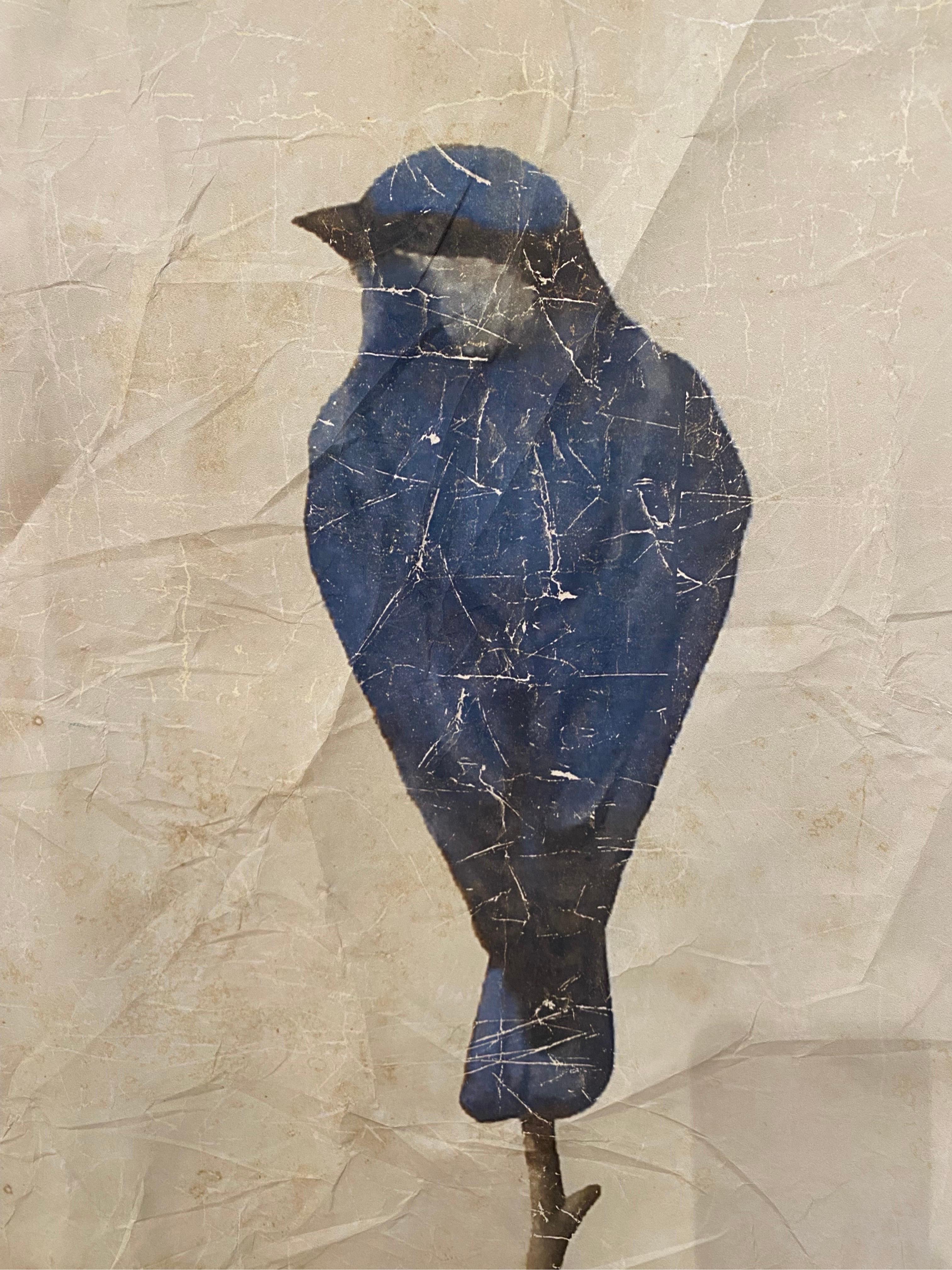 Decorative Limited Edition French Wallpaper Panels of Birds For Sale 2