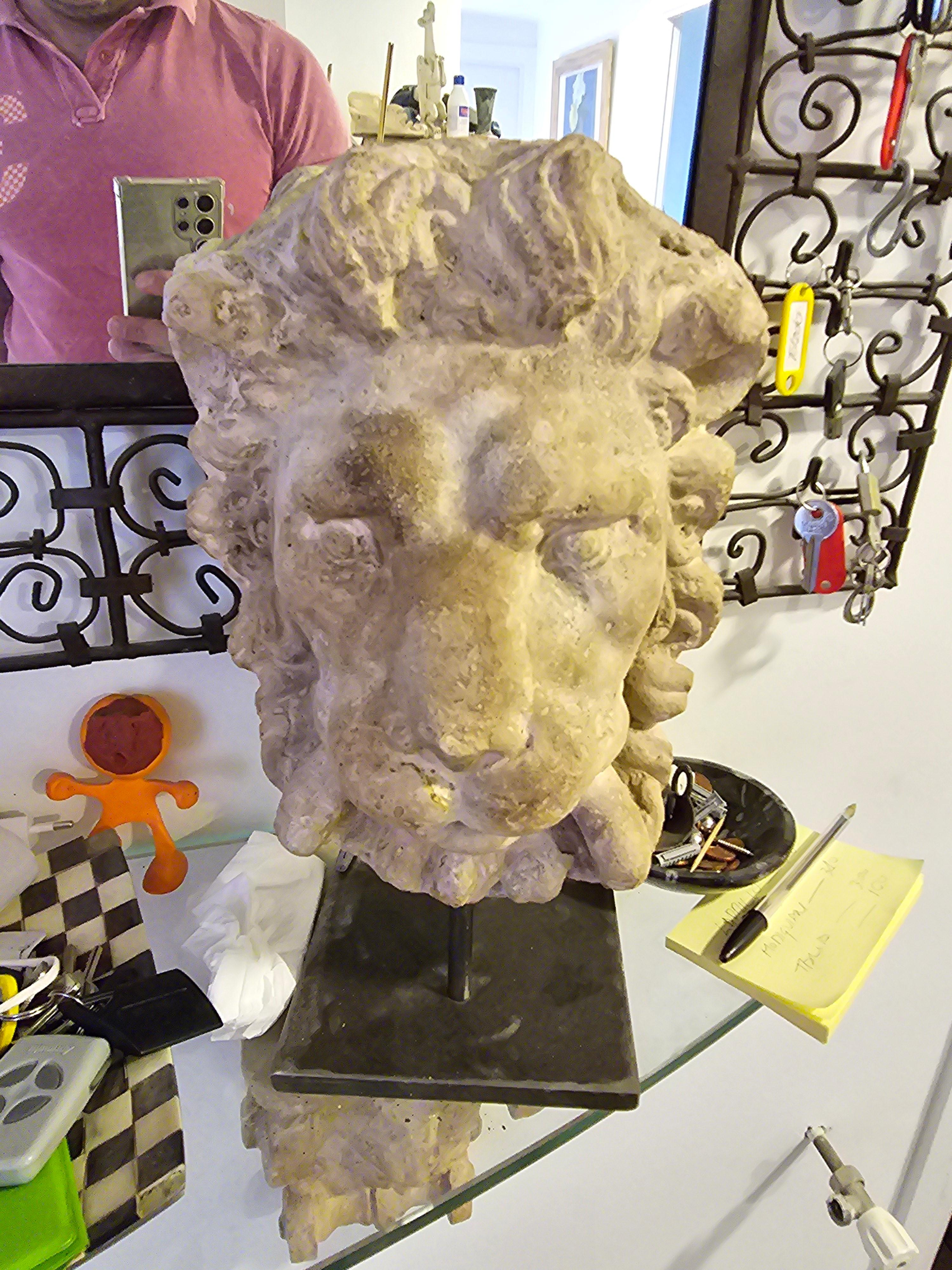 Questa sorprendente testa di leone decorativa in terracotta è un pezzo accattivante che aggiunge una dichiarazione audace a qualsiasi arredamento. Realizzato con dettagli intricati e montato su una base robusta, questo pezzo mette in mostra la