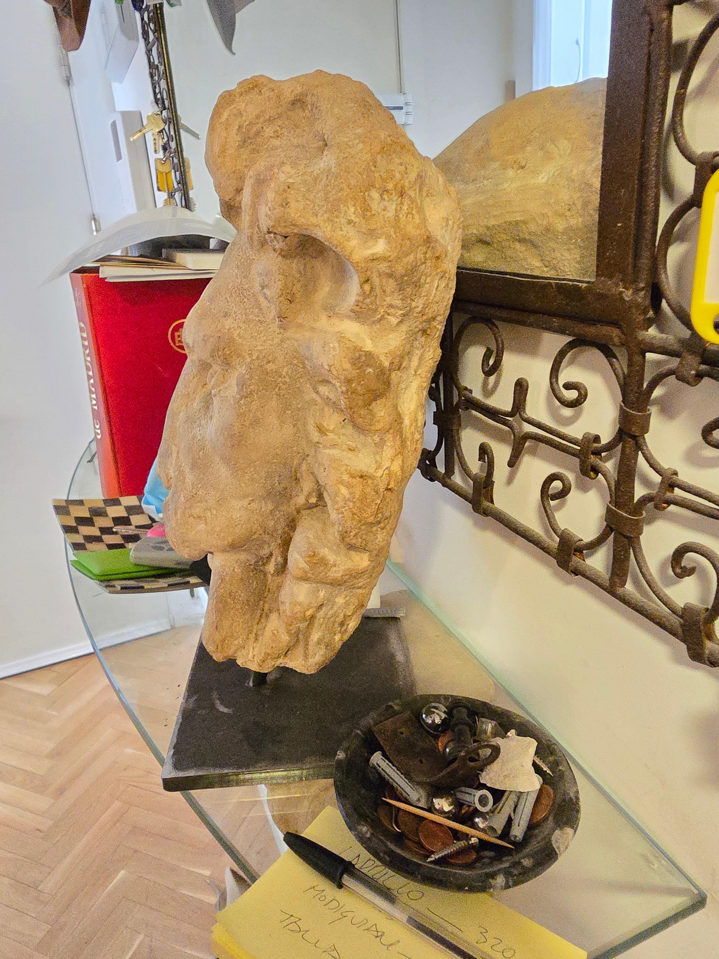XX secolo Testa di leone decorativa in terracotta - Base montata in vendita