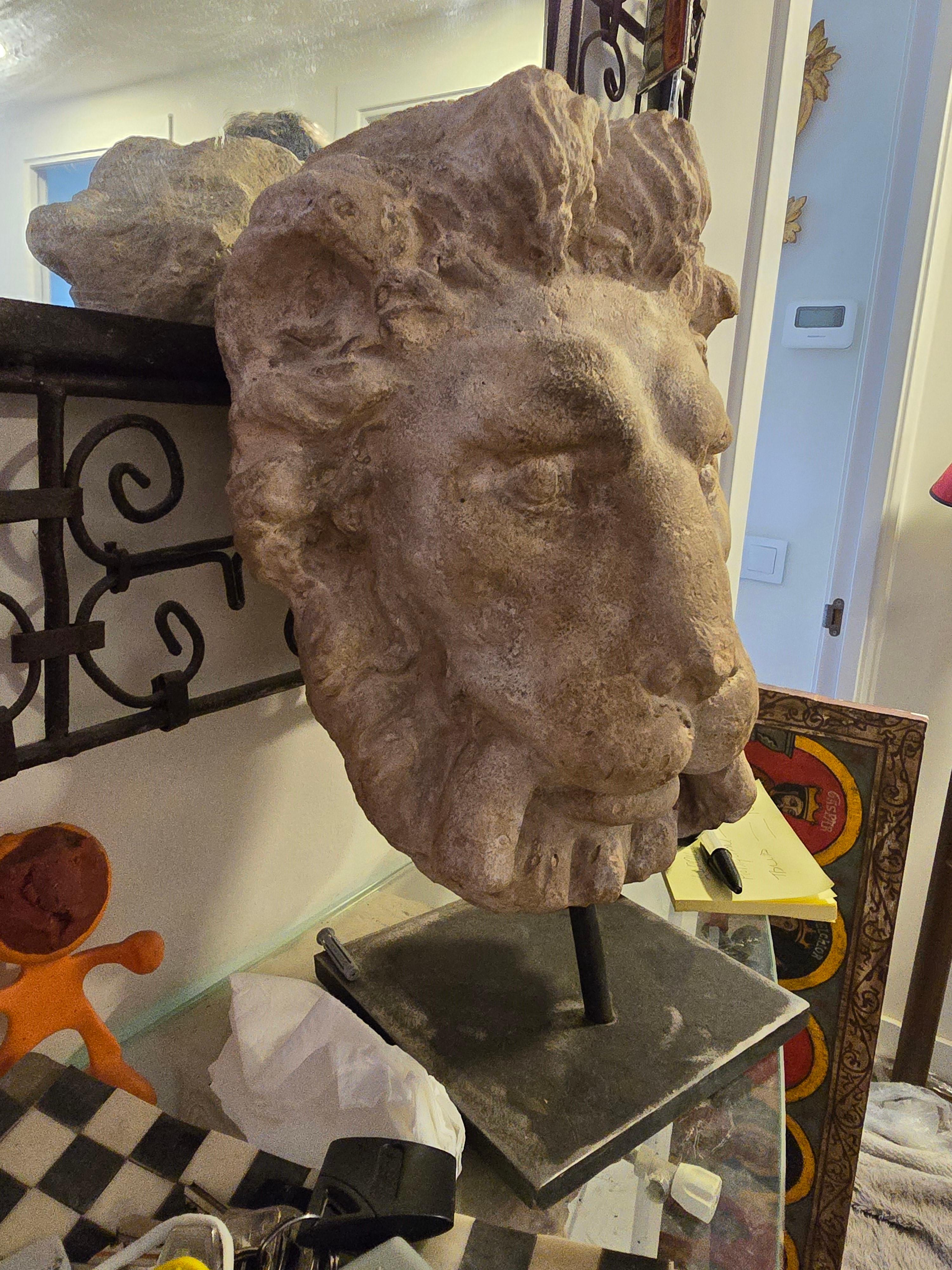Terracotta Testa di leone decorativa in terracotta - Base montata in vendita