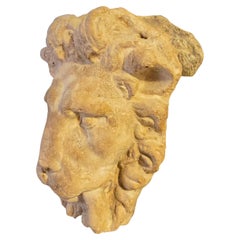 Cabeza de león decorativa de terracota - Base montada