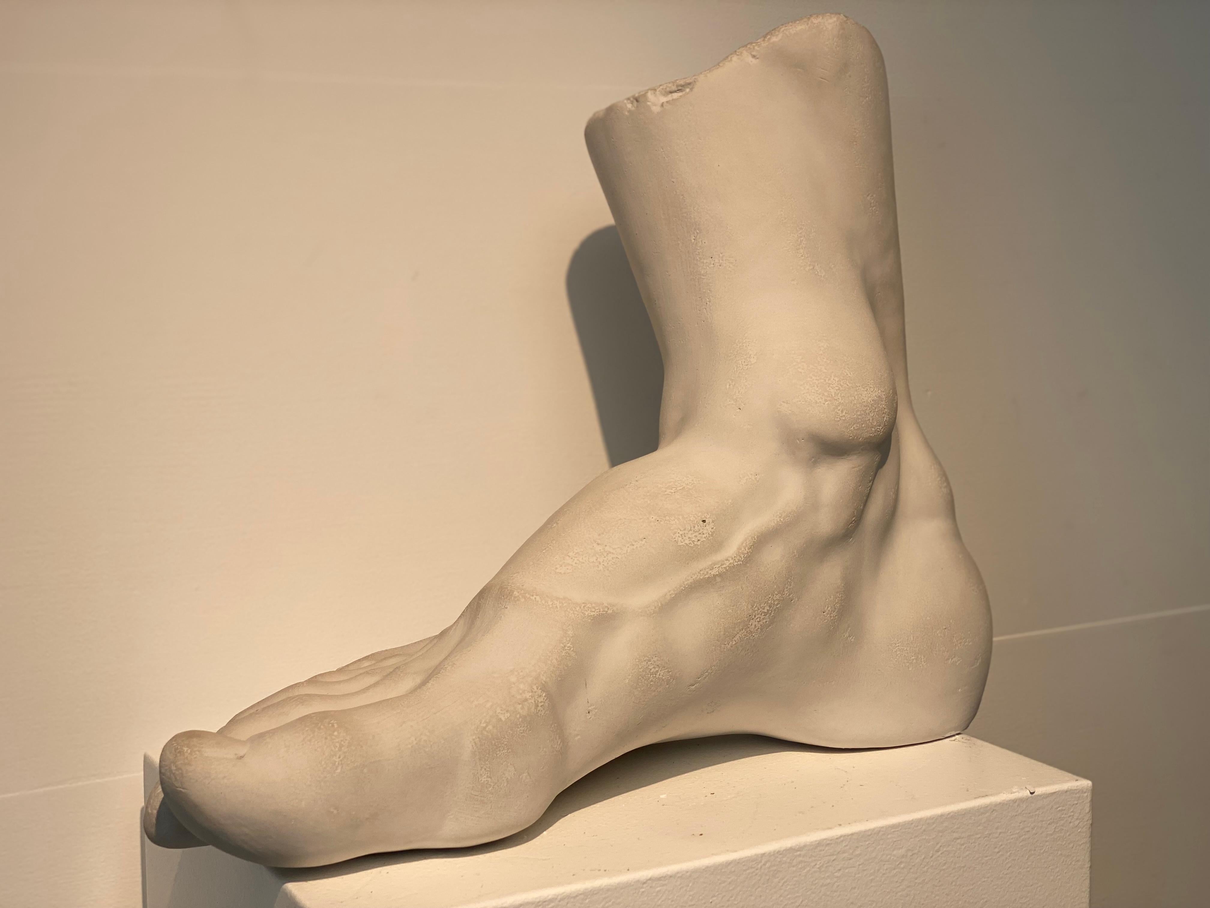 Very decorative model of A Human Foot in Plaster,
Italian Origin,
good and warm patina of the Plaster,
very decorative object to be used for different purposes