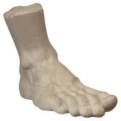 Decorative model of a Foot