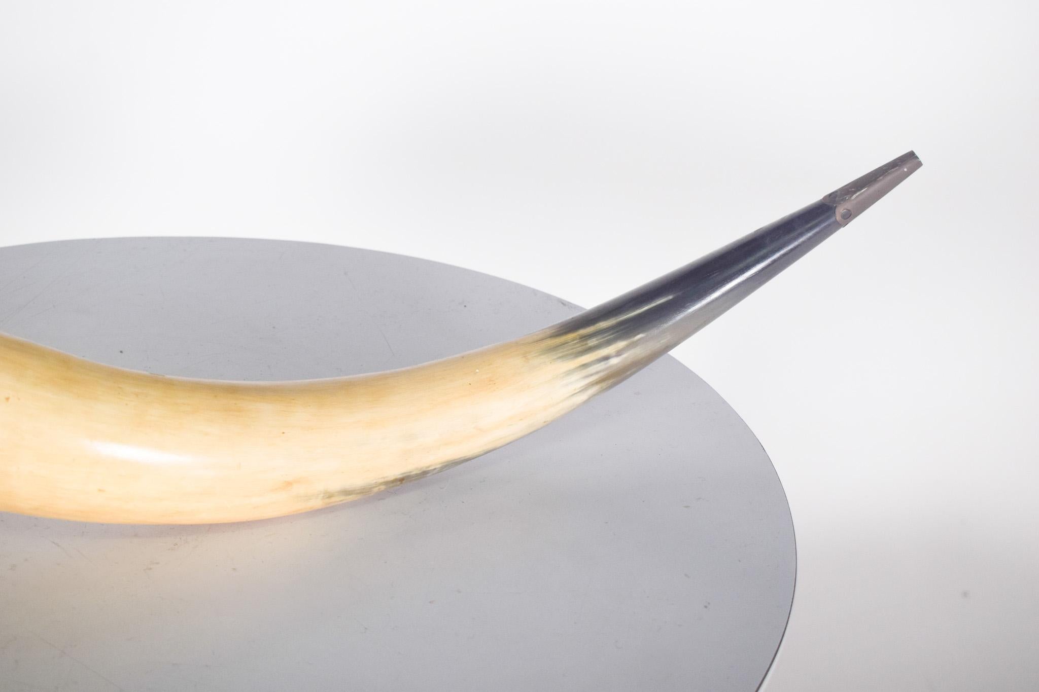 Decorative horn. Made from a natural ox or buffalo horn. The horn has a curved and elegant appearance, with natural tones ranging from beige to black, providing a rustic and authentic look. At the widest end, there is a metal finish, possibly in