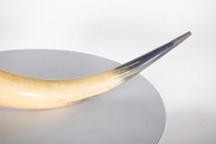 Decorative Natural Animal Horn