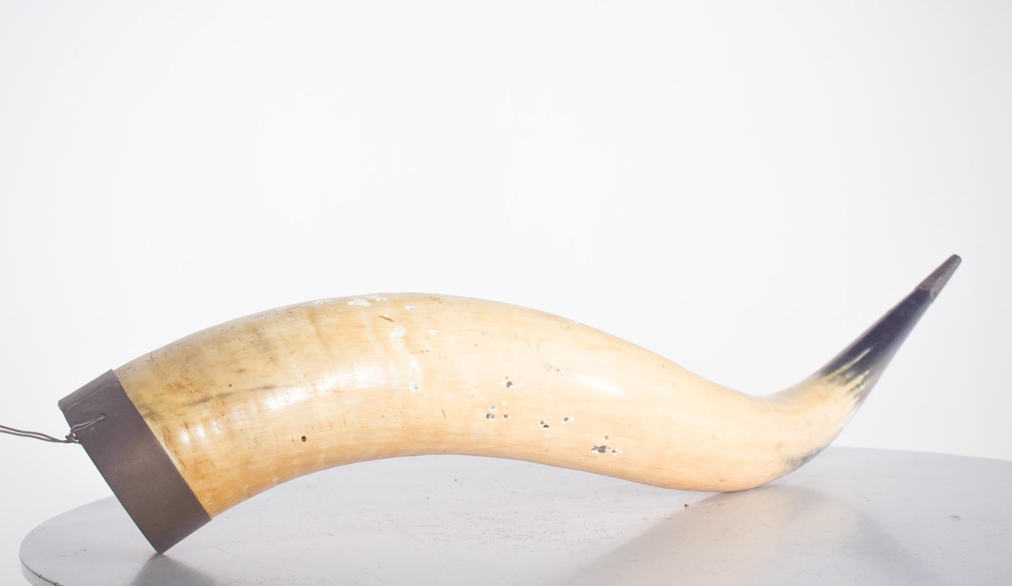 Decorative Natural Animal Horn In Fair Condition For Sale In Lisboa, Lisboa