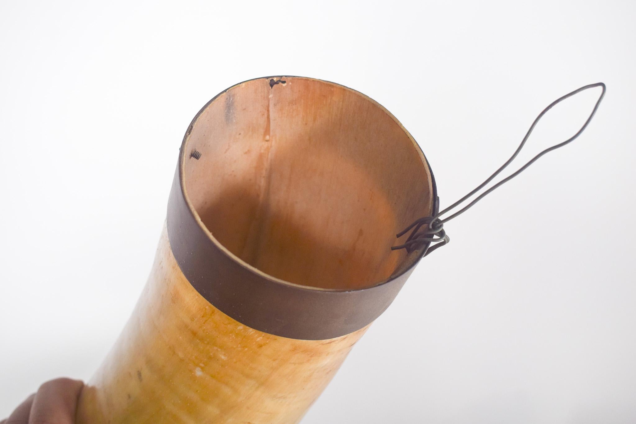 20th Century Decorative Natural Animal Horn For Sale