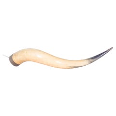 Corno decorativo per animali Nature