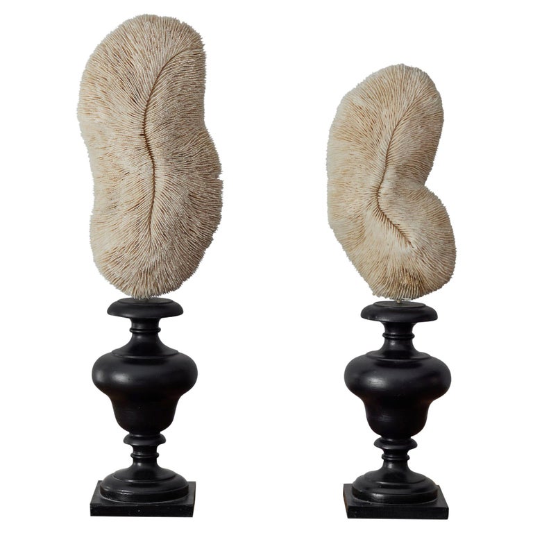 Decorative Objects For Sale at 1stDibs