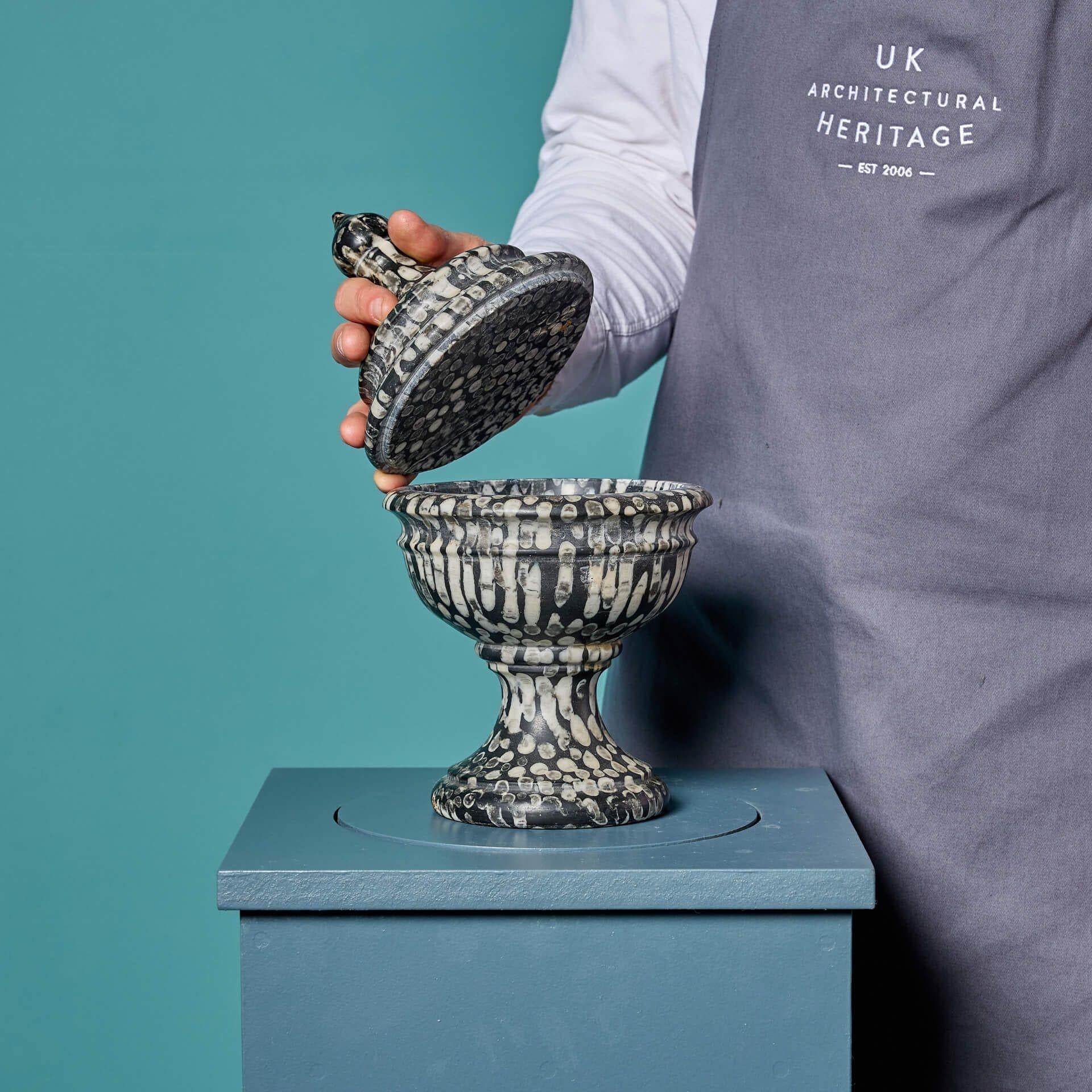 Grand Tour Urna decorativa in marmo fossile Orthoceras in vendita