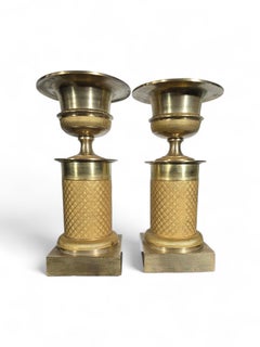 Decorative Pair of 19th-Century French Gilt Bronze Urns