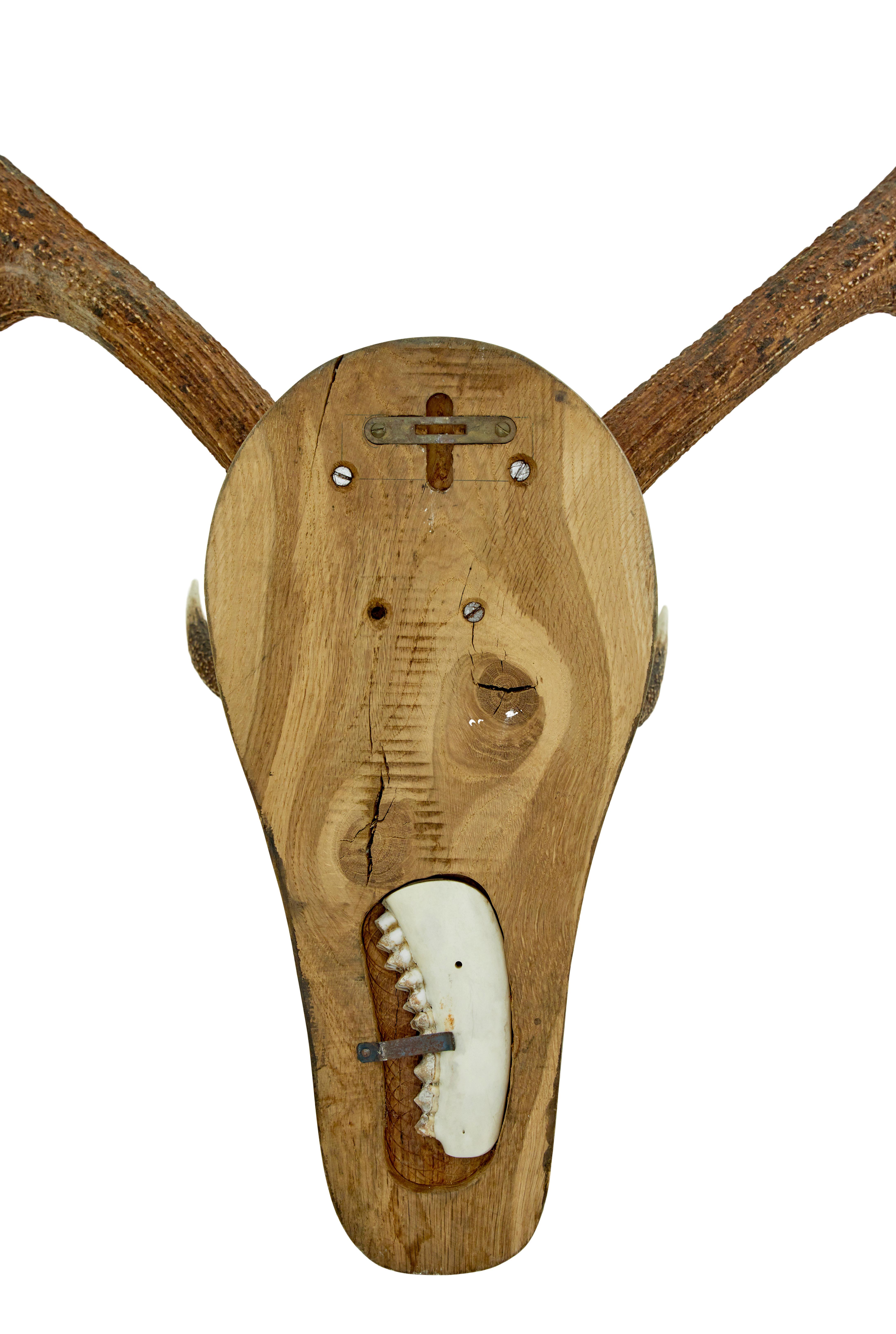 Paire de bois décoratifs �à fixer au mur Bon état - En vente à Debenham, Suffolk