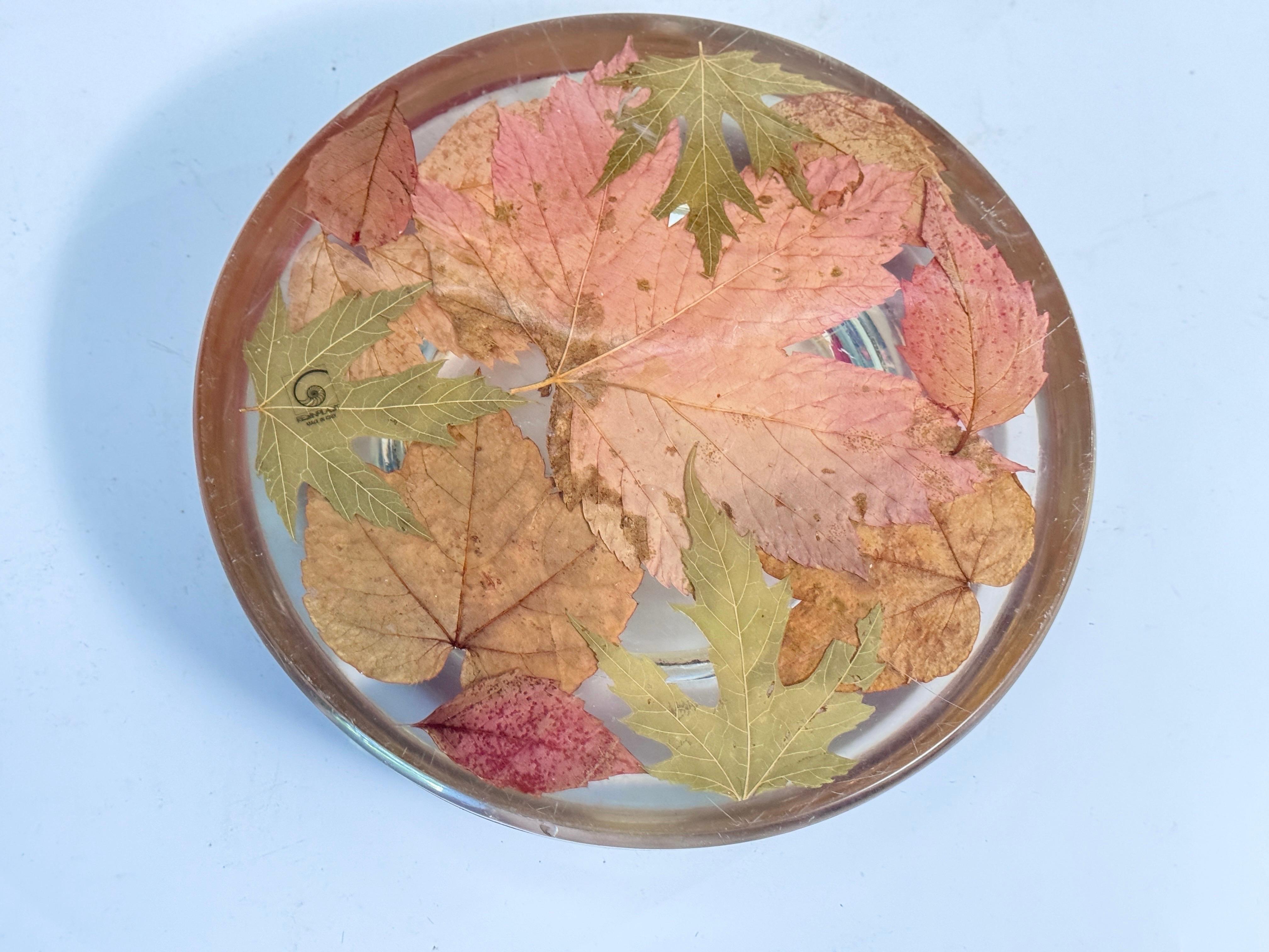 Vide poche o cenicero decorativo de plexiglás con inclusiones de hojas Italia 1970 Italiano en venta