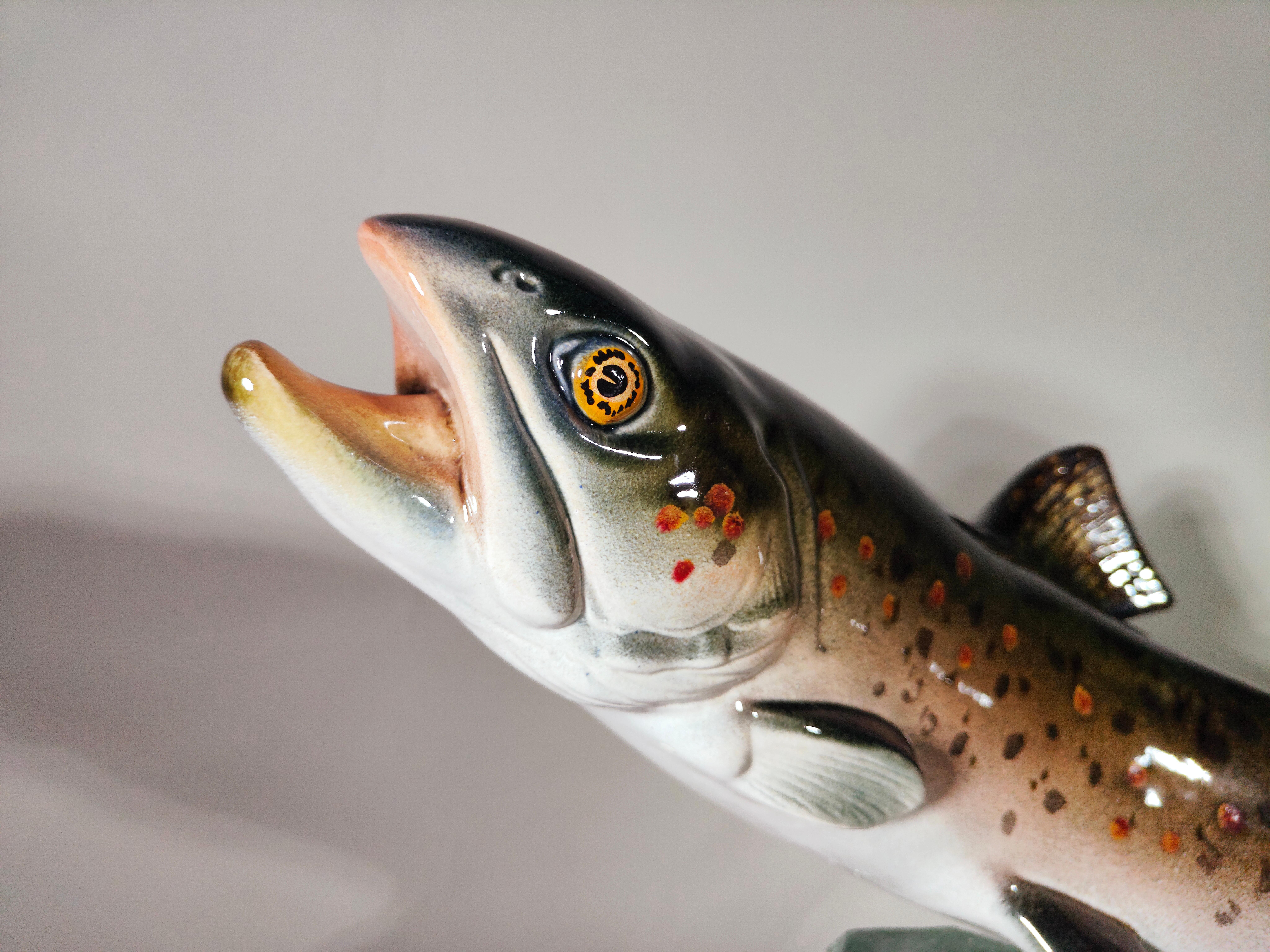 Poisson décoratif en porcelaine sur verre 1950s
POISSON DÉCORATIF EN PORCELAINE SUR LA BASE D'UN BLOC DE VERRE SOLIDE. EN EXCELLENT ÉTAT. MESURES : 55X44X27 CM