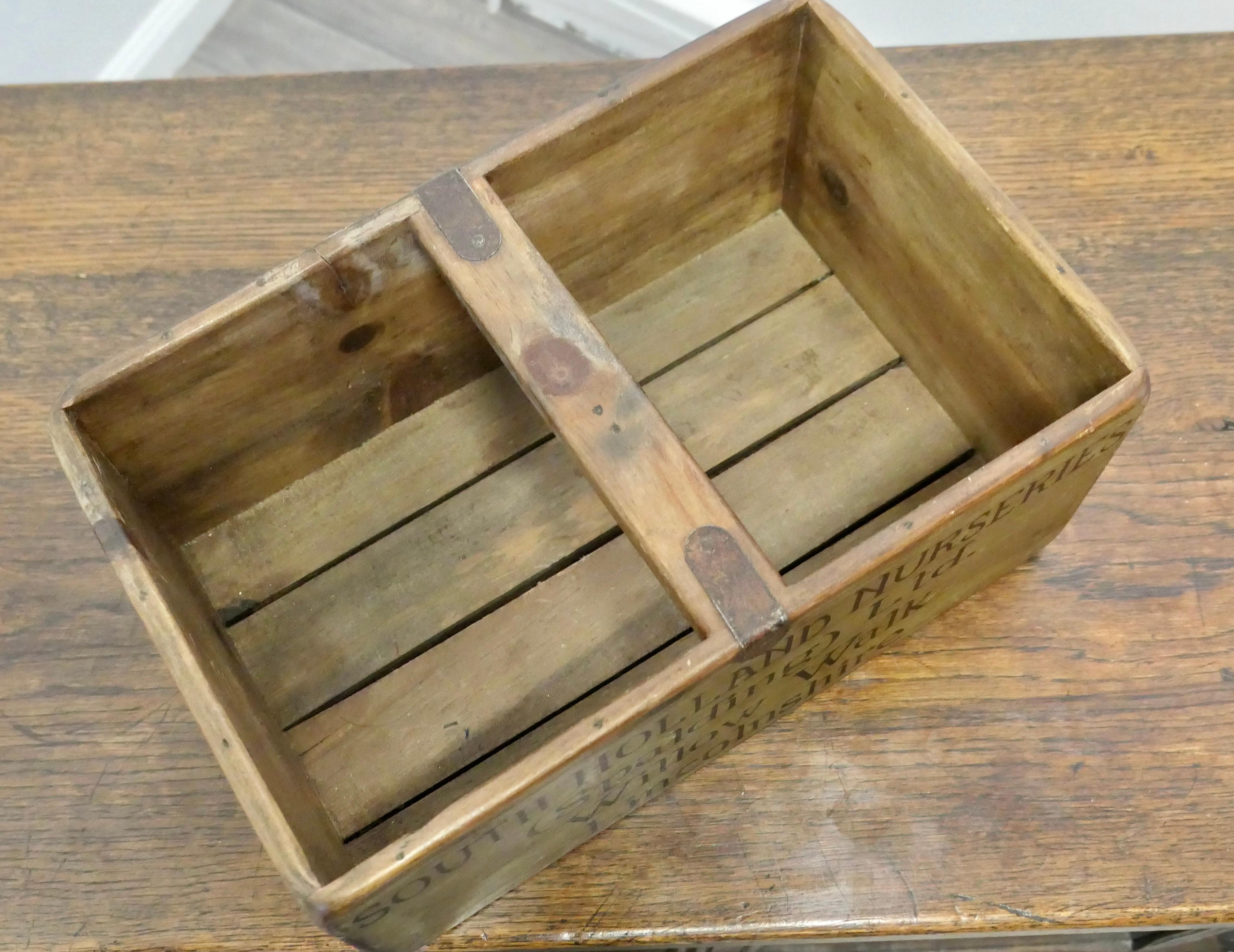 20th Century Decorative Re Painted 19th Century Wine Box, Trug For Sale