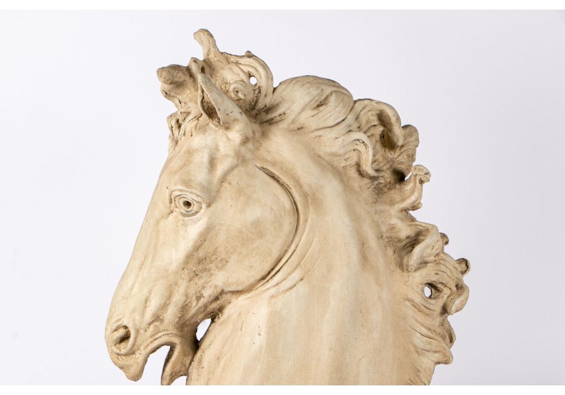 Decorative Resin Cast of a Classical Style Horse Bust In Good Condition In Bridgeport, CT