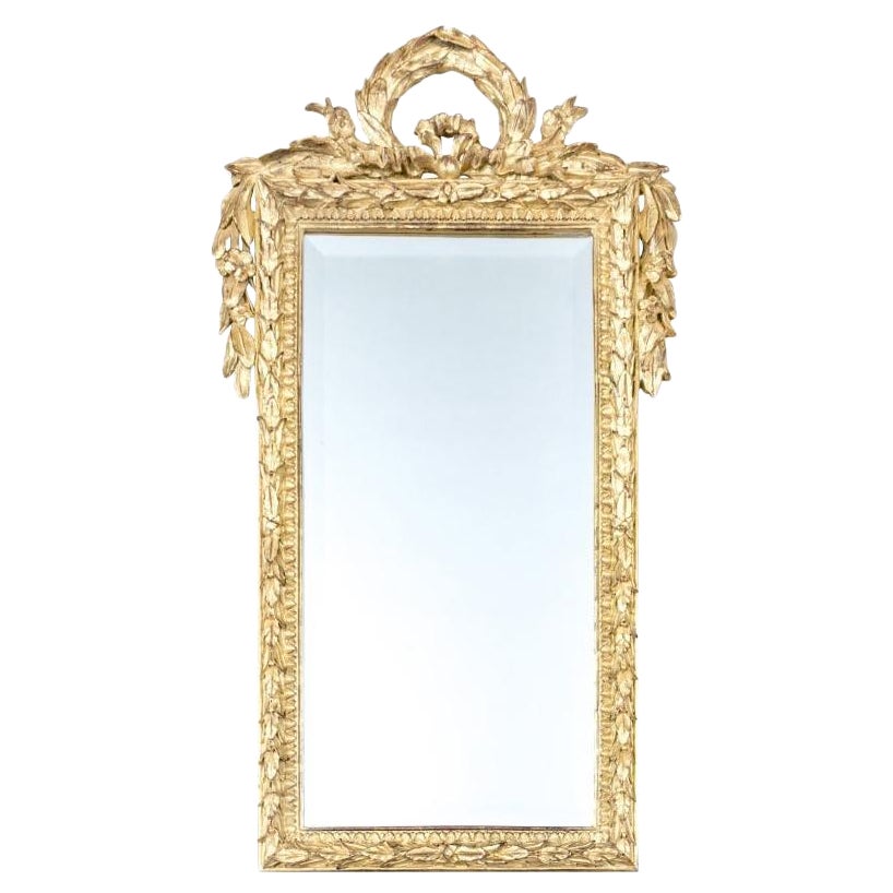 Decorative Rococo Style Mirror In Ornate Gilt Frame