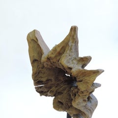 Decorative Root Sculpture, Italy 1960s