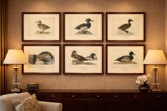 Decorative Scandinavian Bird Prints – Antique Swedish Ducks, 1929 - Set of 6