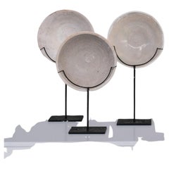 Used Decorative Seabed Found Bowls on Mounted on Custom Stands