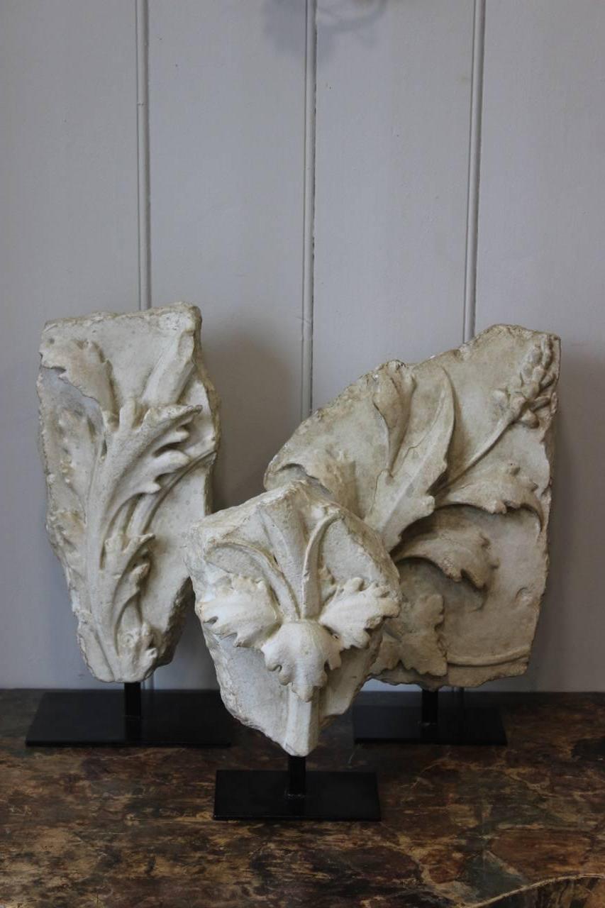 A good decorative set of three 20th century mounted cast-plaster foliate fragments that would work well in a modern or period setting. 

Measurements are approximate.