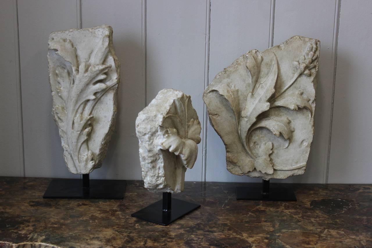 20th Century Decorative Set of Three Mounted Cast-Plaster Fragments