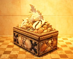 Decorative Shell Box