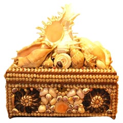 Antique Decorative Shell Box