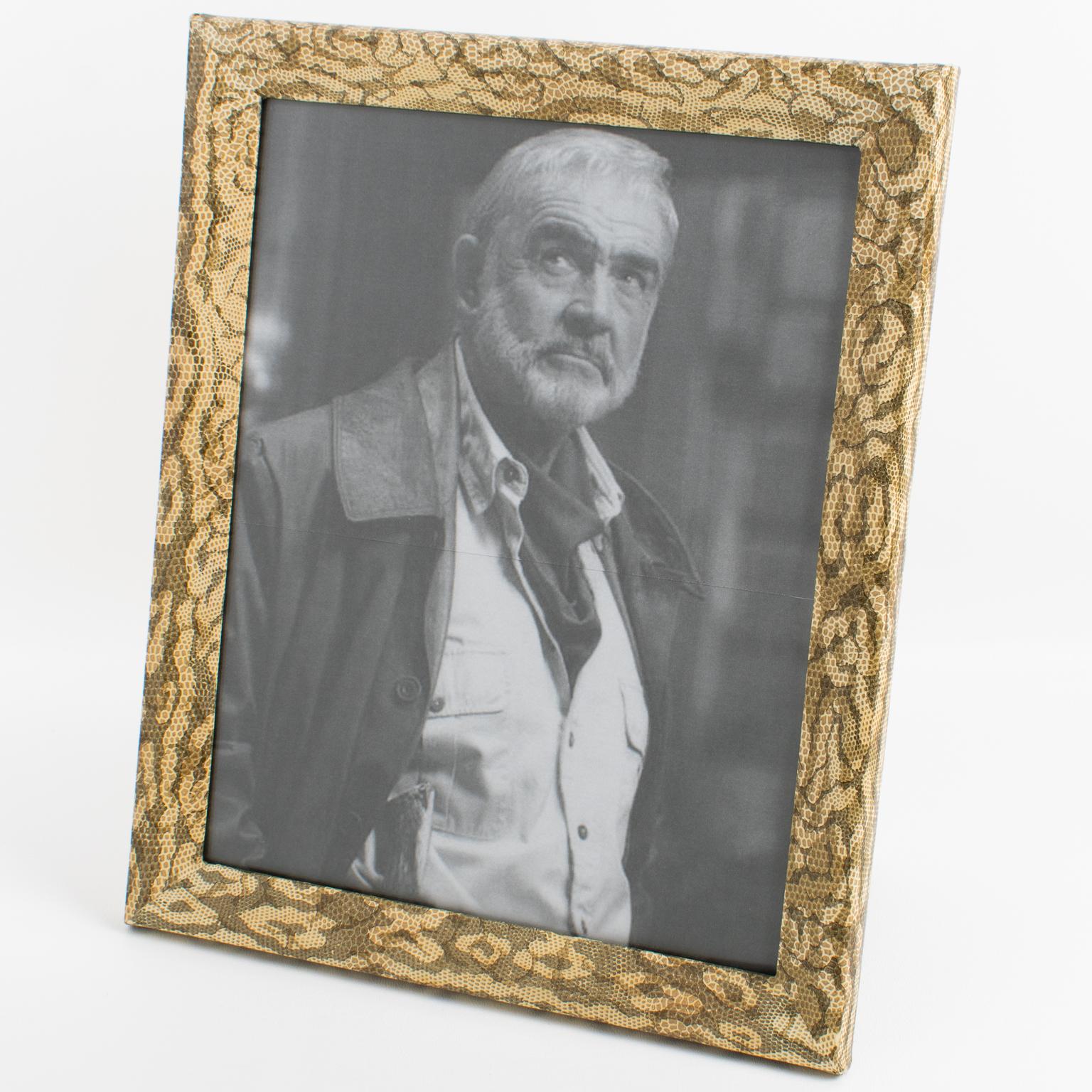 Glass Decorative Snake-Skin-Like Camouflage Pattern Picture Frame For Sale