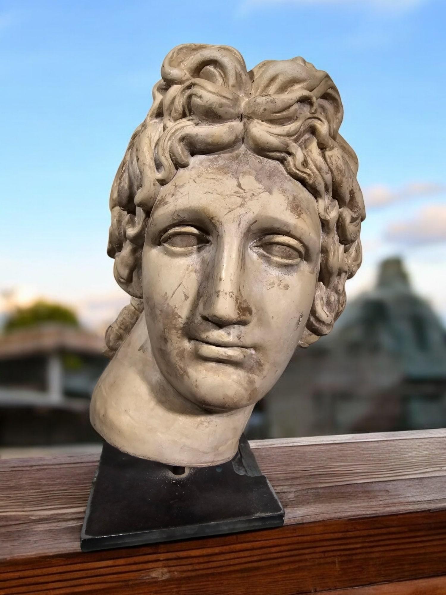 Testa di Apollo in pietra decorativa - stile classico in vendita 3